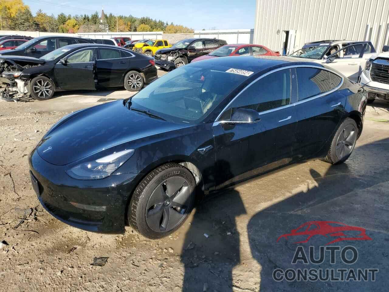 TESLA MODEL 3 2019 - 5YJ3E1EB9KF384282