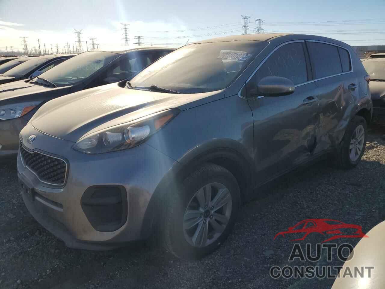KIA SPORTAGE 2017 - KNDPM3AC5H7059657