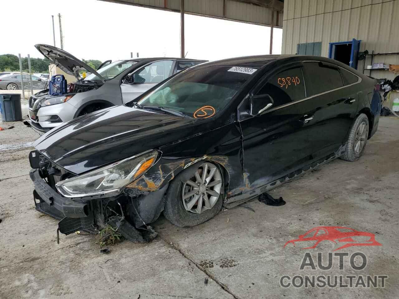 HYUNDAI SONATA 2019 - 5NPE24AF8KH745269