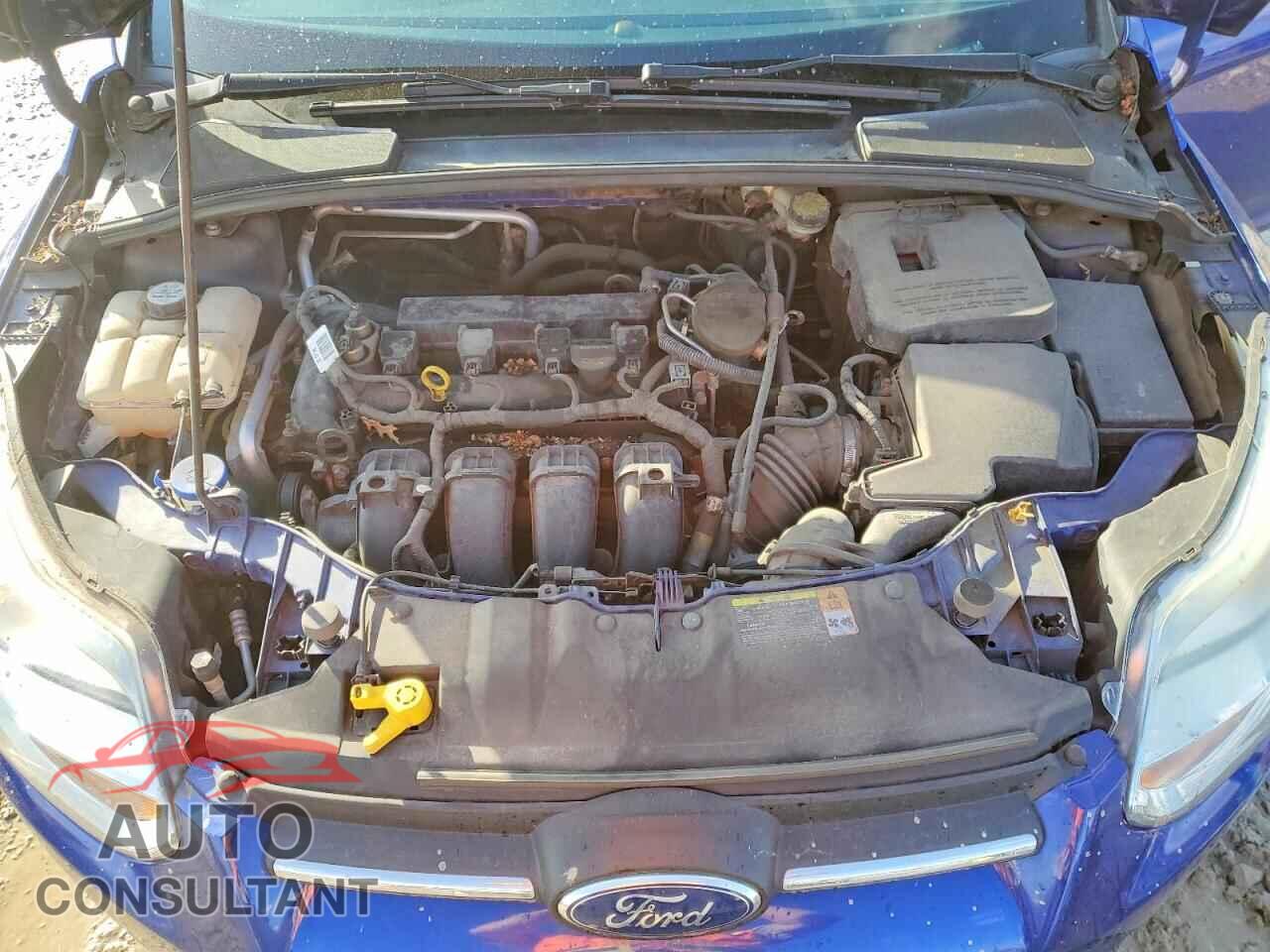 FORD FOCUS 2012 - 1FAHP3F21CL319683
