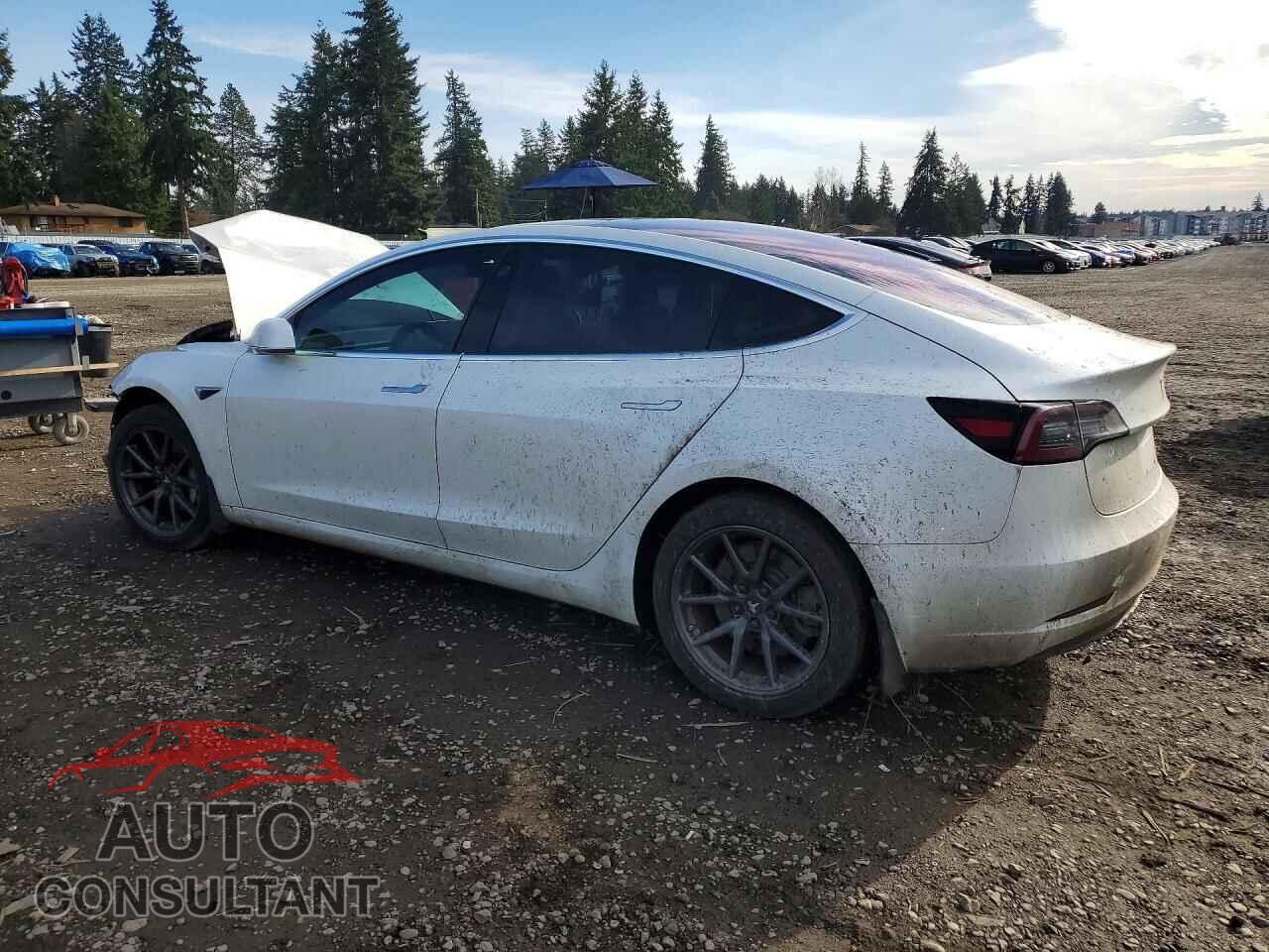 TESLA MODEL 3 2018 - 5YJ3E1EA5JF019765