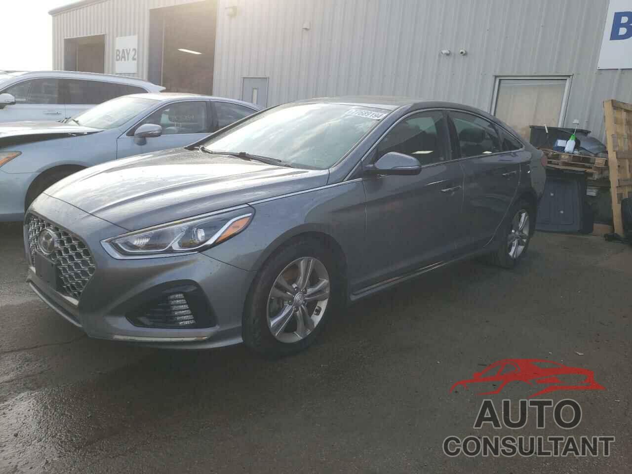 HYUNDAI SONATA 2019 - 5NPE34AF0KH809138