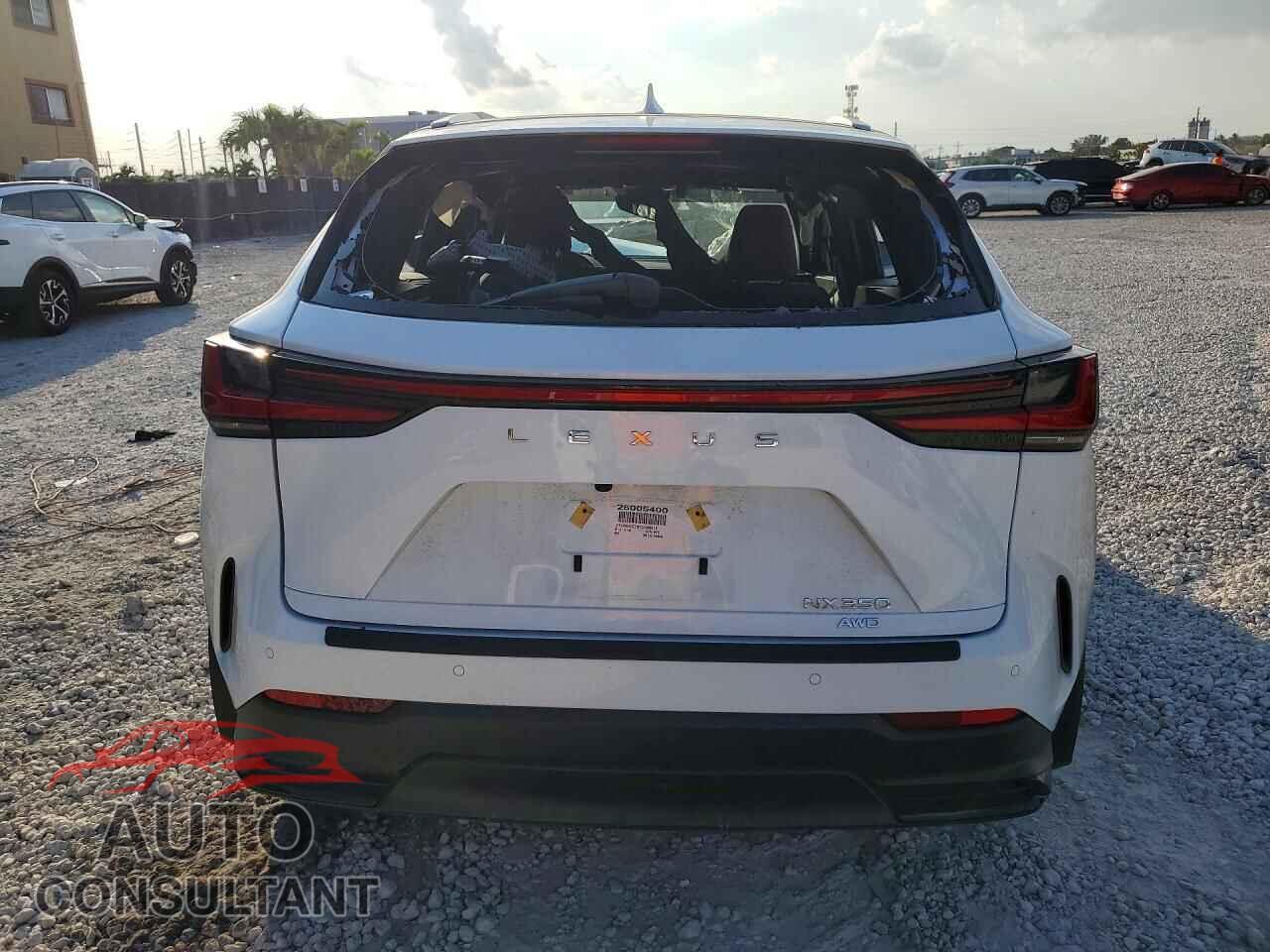 LEXUS UNKNOWN 2026 - 2T2GGCEZ8TC096212