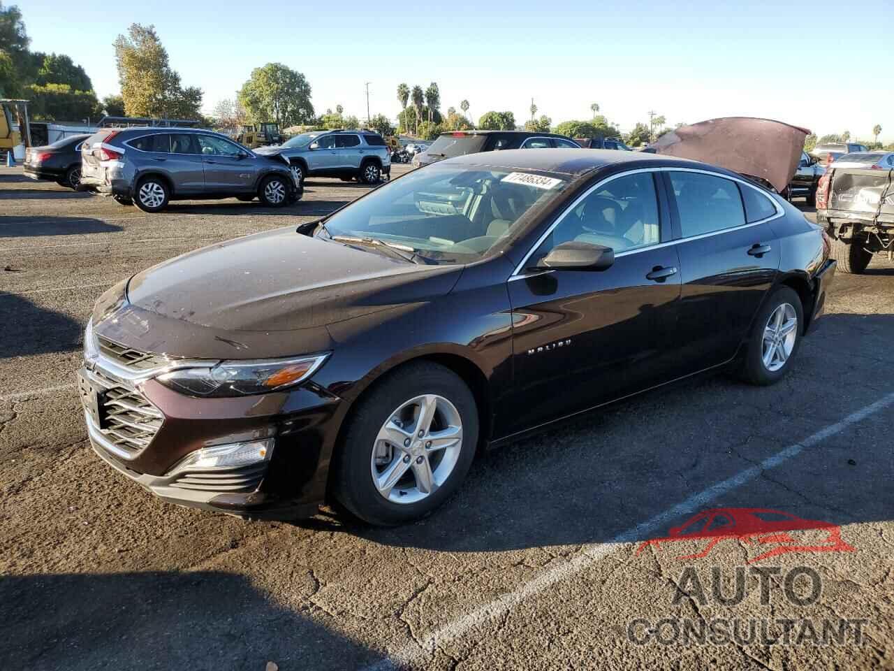 CHEVROLET MALIBU 2020 - 1G1ZB5STXLF023544