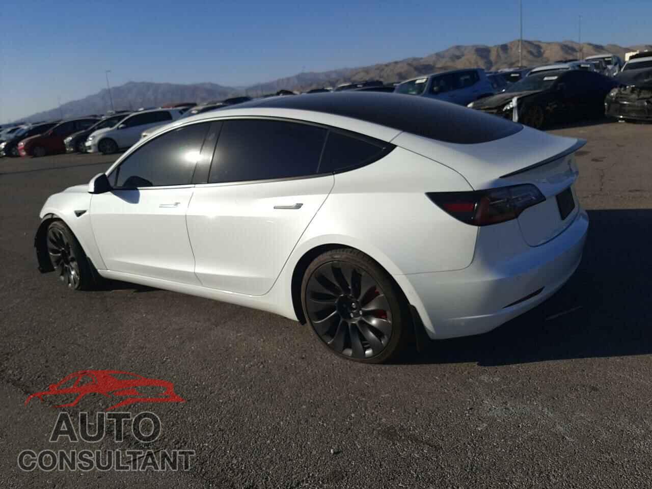 TESLA MODEL 3 2021 - 5YJ3E1EC3MF073295