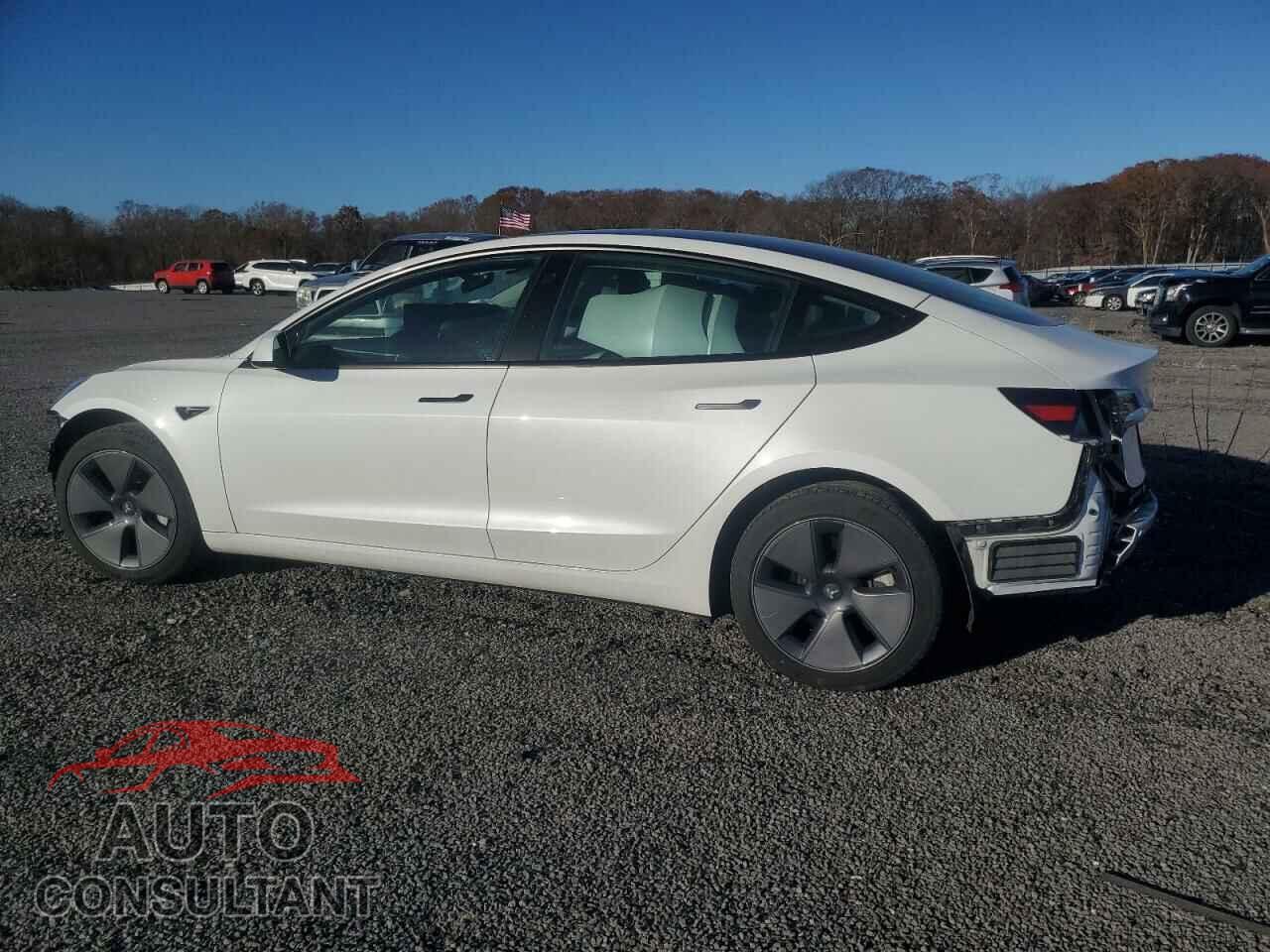 TESLA MODEL 3 2023 - 5YJ3E1EA0PF489601