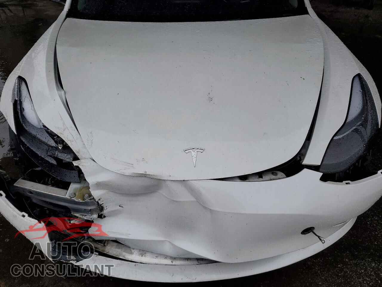 TESLA MODEL 3 2023 - 5YJ3E1EA5PF559819