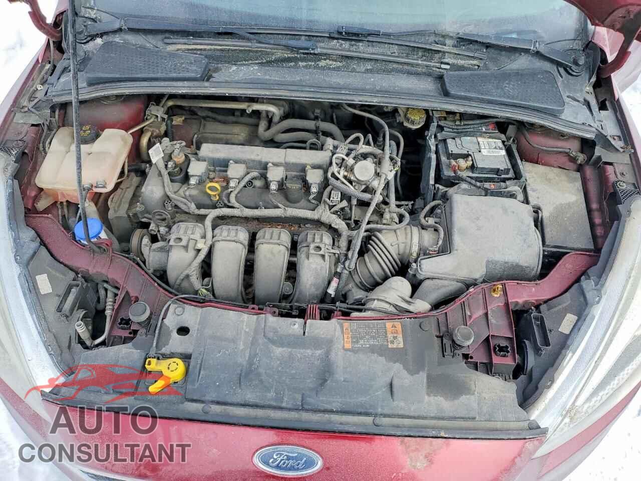 FORD FOCUS 2016 - 1FADP3K2XGL346696