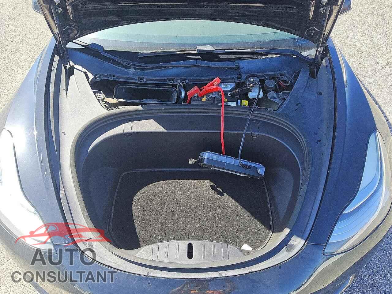 TESLA MODEL 3 2019 - 5YJ3E1EA1KF434907