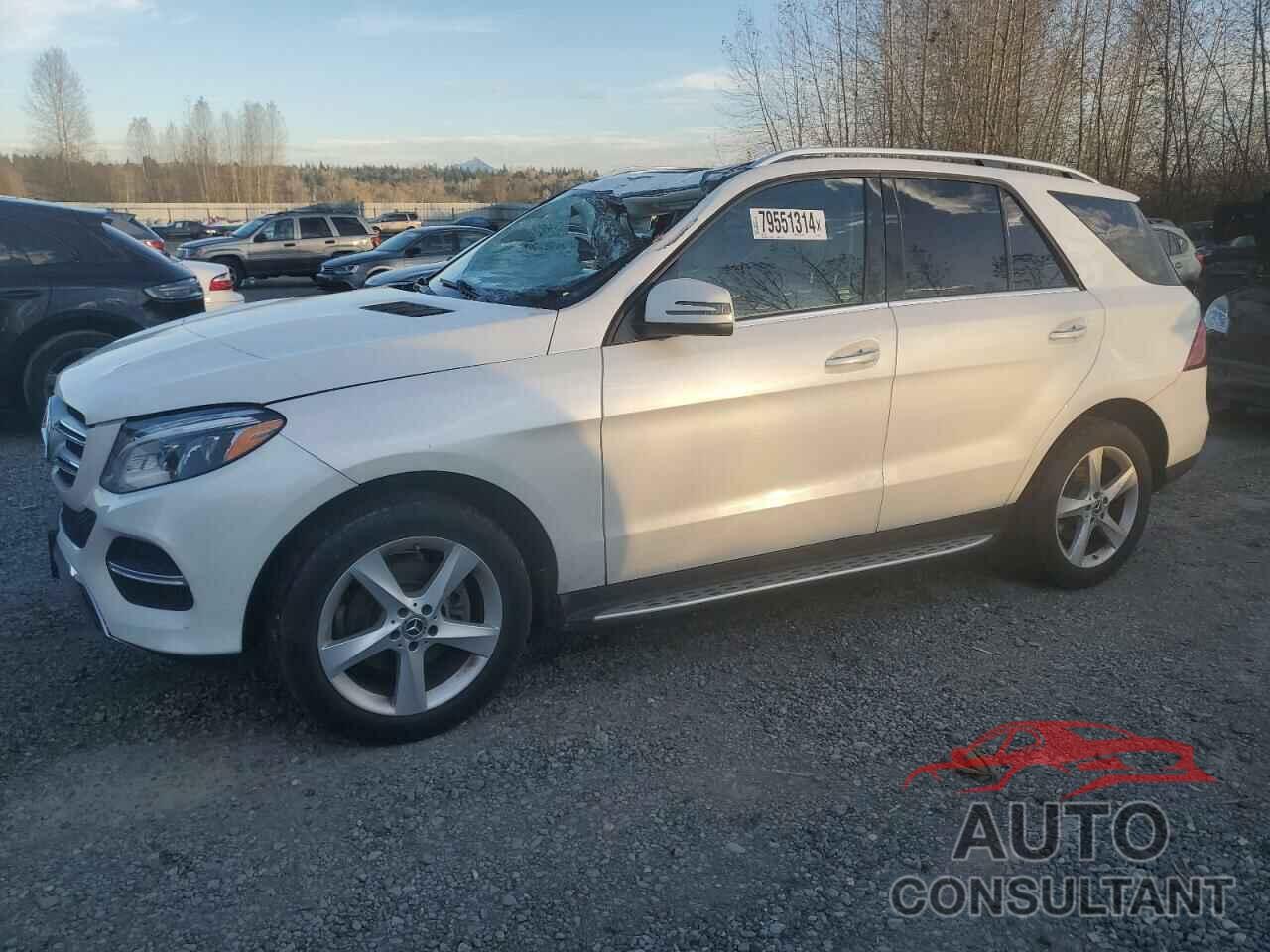 MERCEDES-BENZ GLE-CLASS 2017 - 4JGDA5HB4HA961882