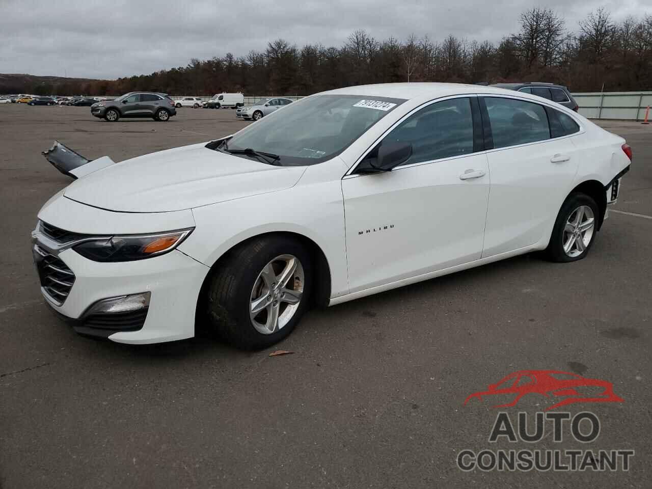 CHEVROLET MALIBU 2019 - 1G1ZB5ST6KF124062