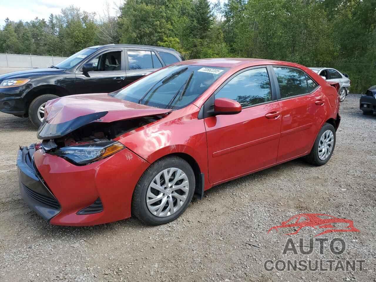 TOYOTA COROLLA 2019 - 2T1BURHE2KC242833