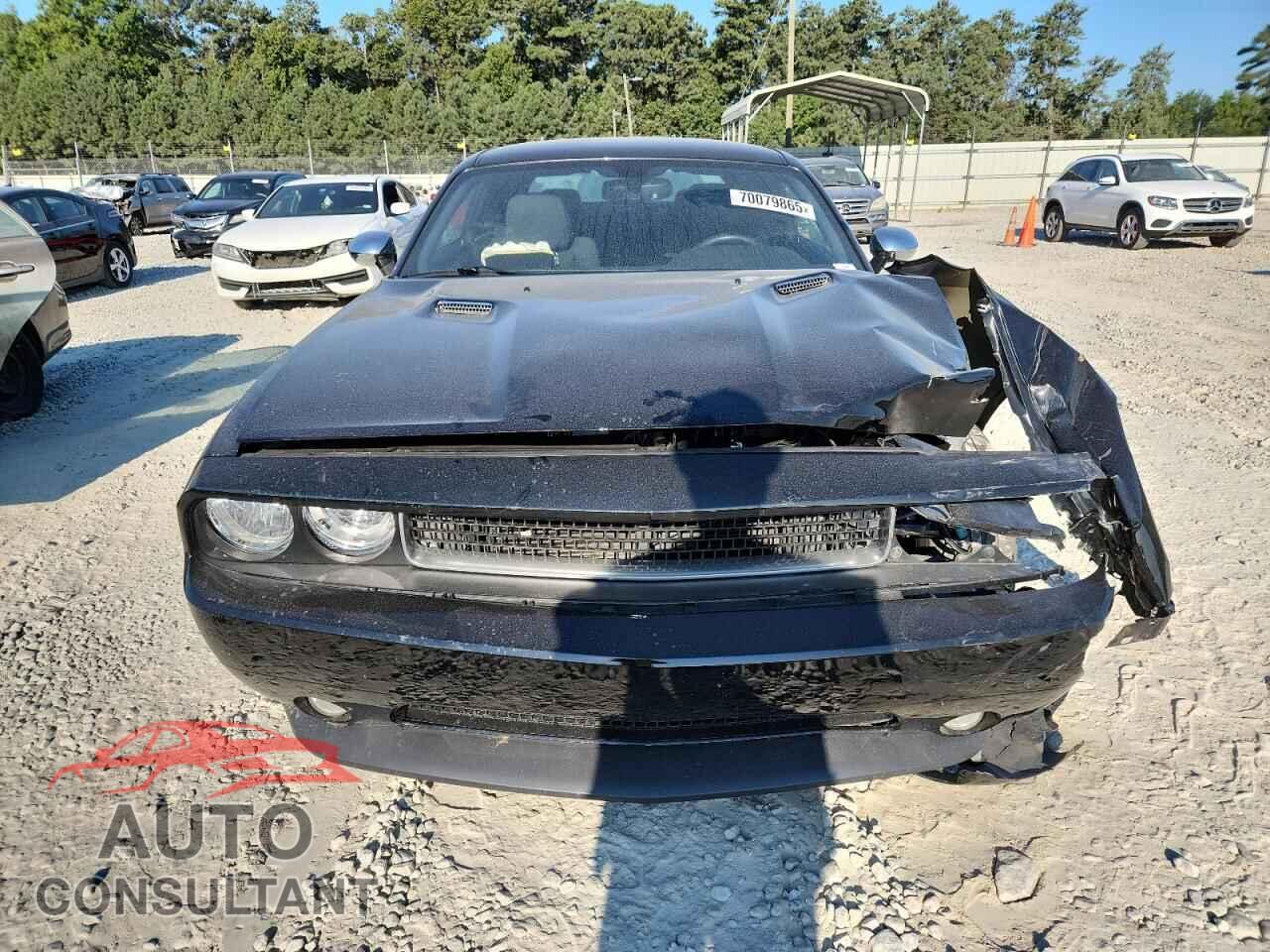 DODGE CHALLENGER 2014 - 2C3CDYBTXEH304113