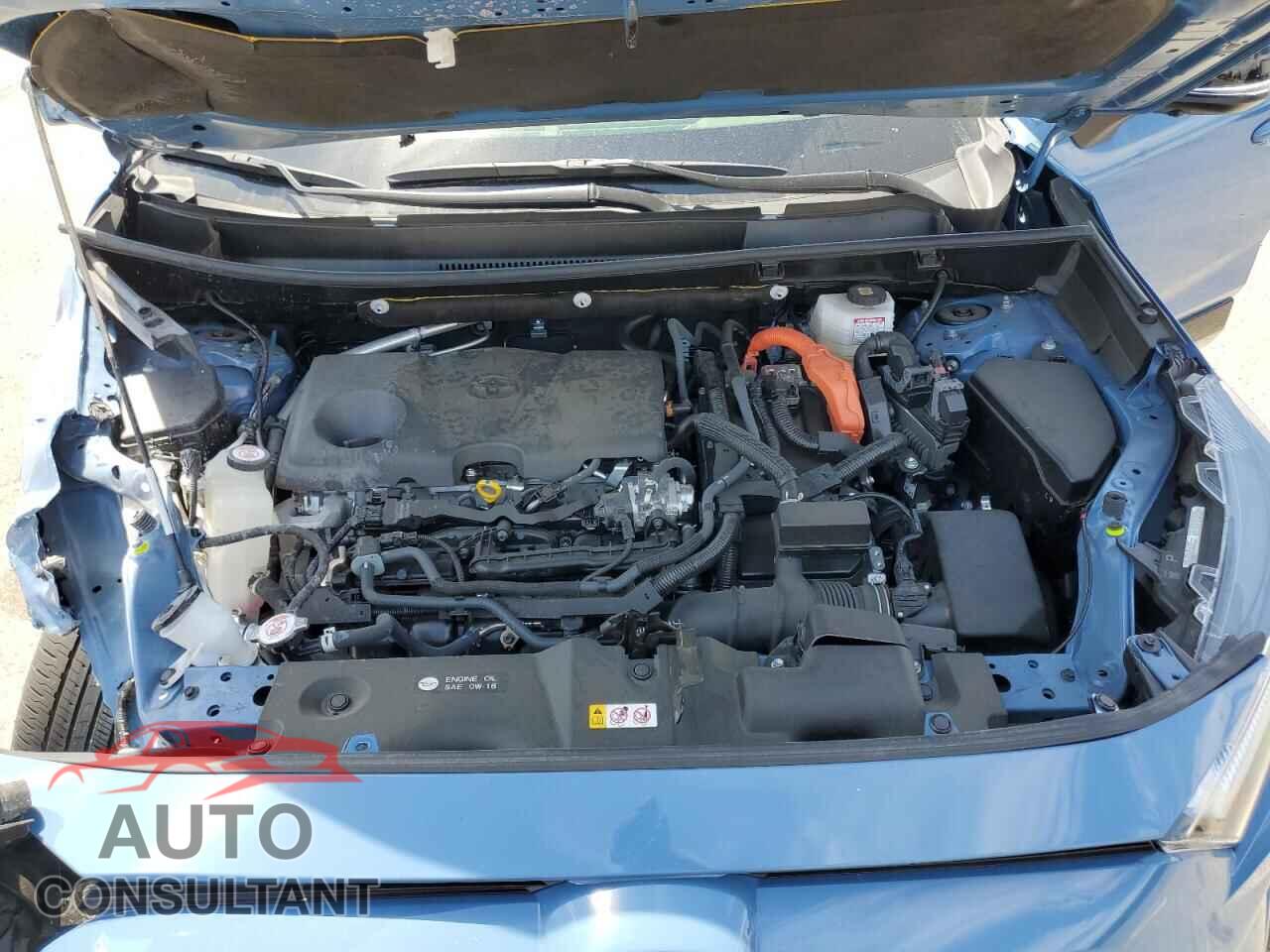 TOYOTA RAV4 2024 - JTME6RFV5RJ053473