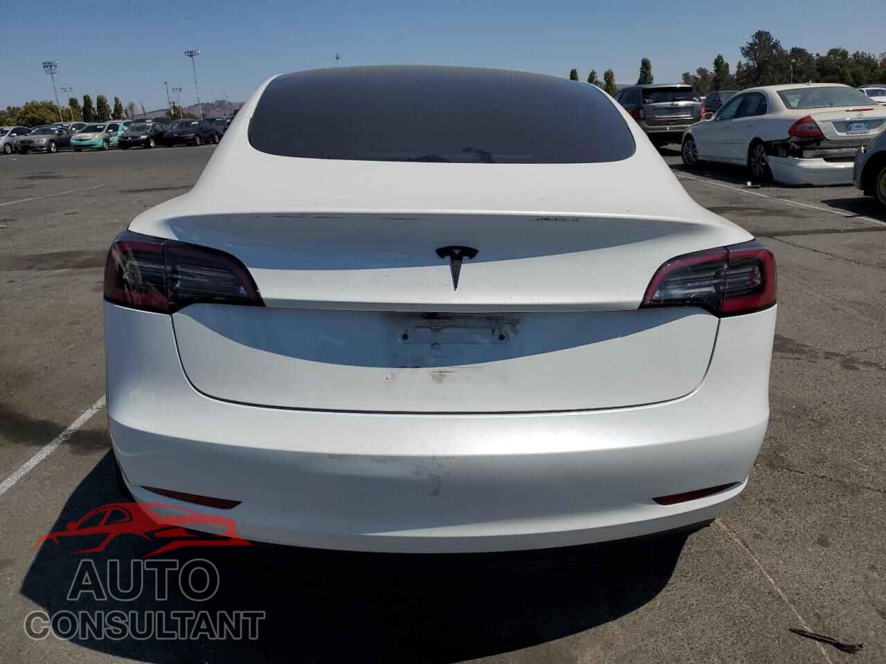 TESLA MODEL 3 2023 - 5YJ3E1EA4PF449845