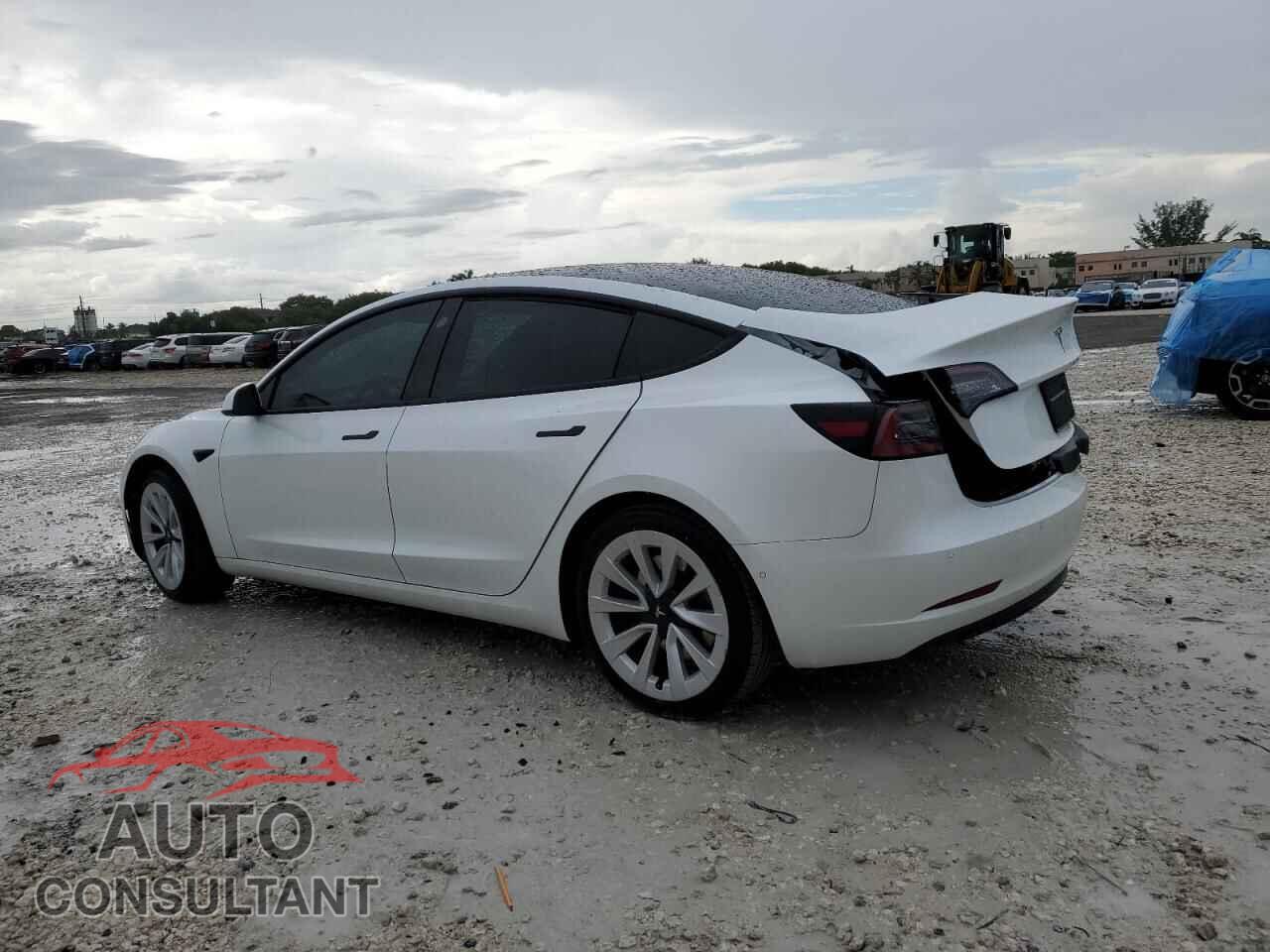TESLA MODEL 3 2021 - 5YJ3E1EA2MF098543
