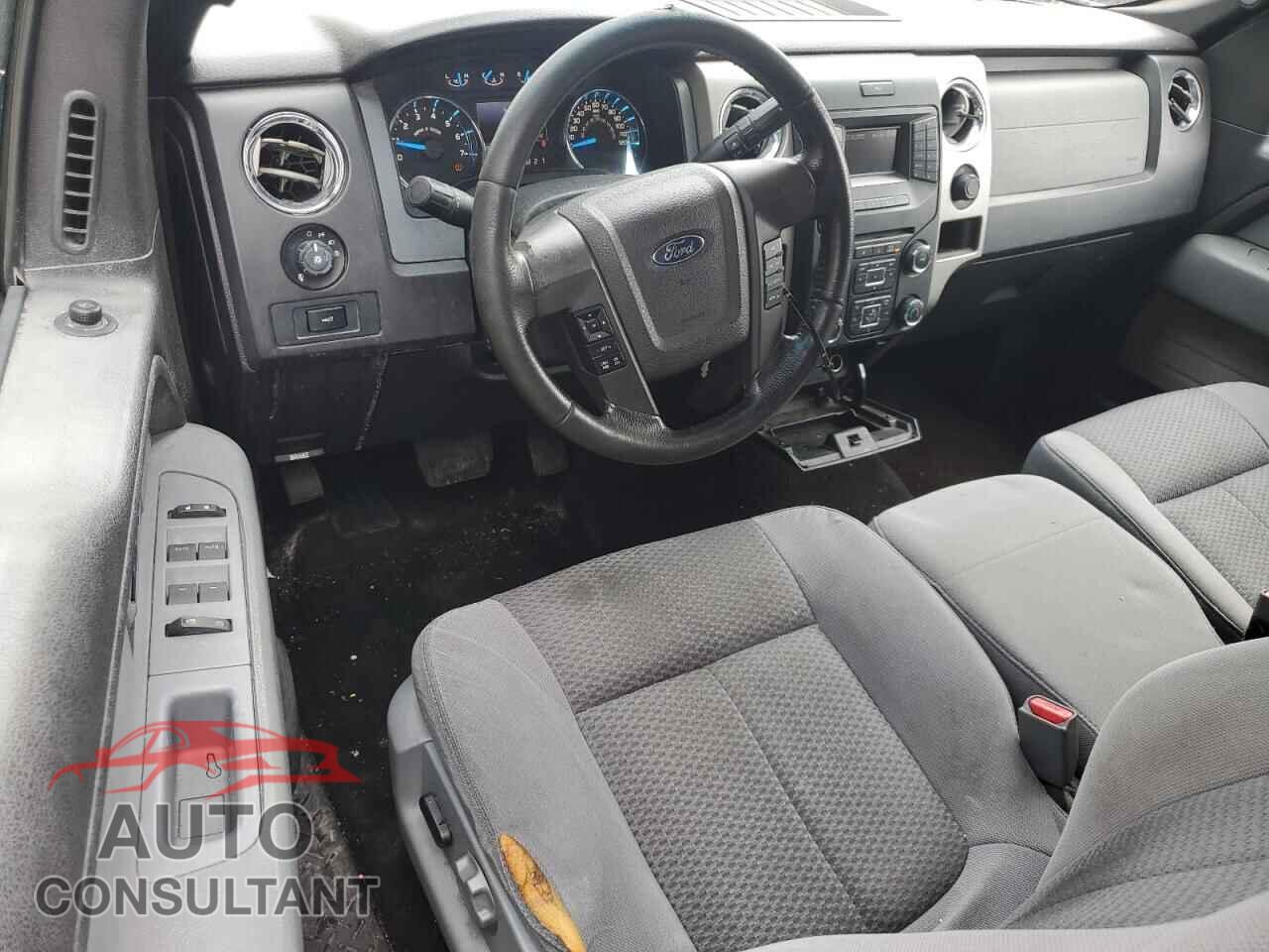 FORD F-150 2013 - 1FTFX1EF1DFA21421