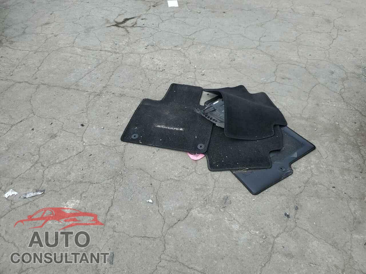 HYUNDAI SANTA FE 2020 - 5NMS5CAA6LH173044