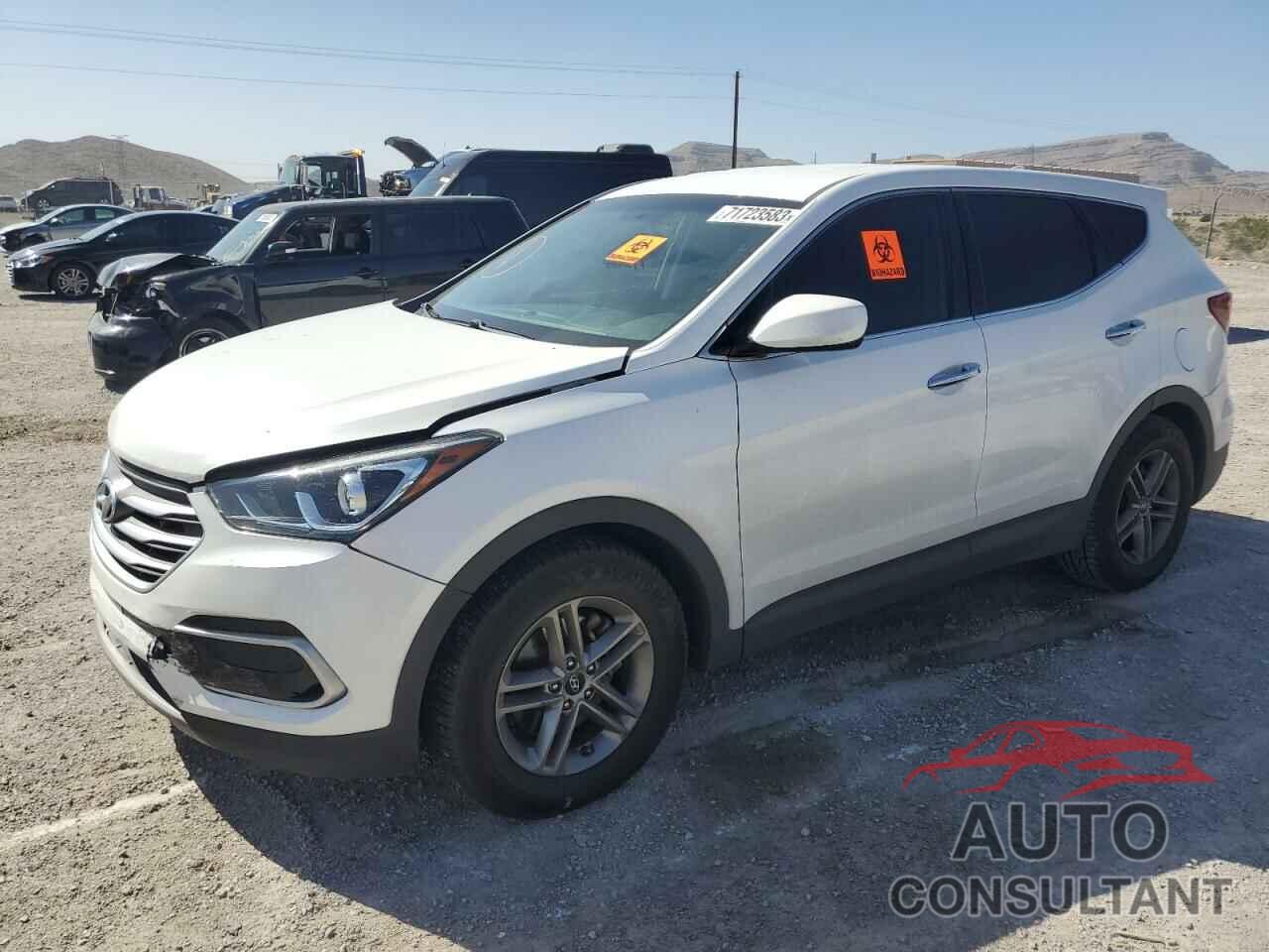 HYUNDAI SANTA FE 2017 - 5NMZTDLB4HH015518