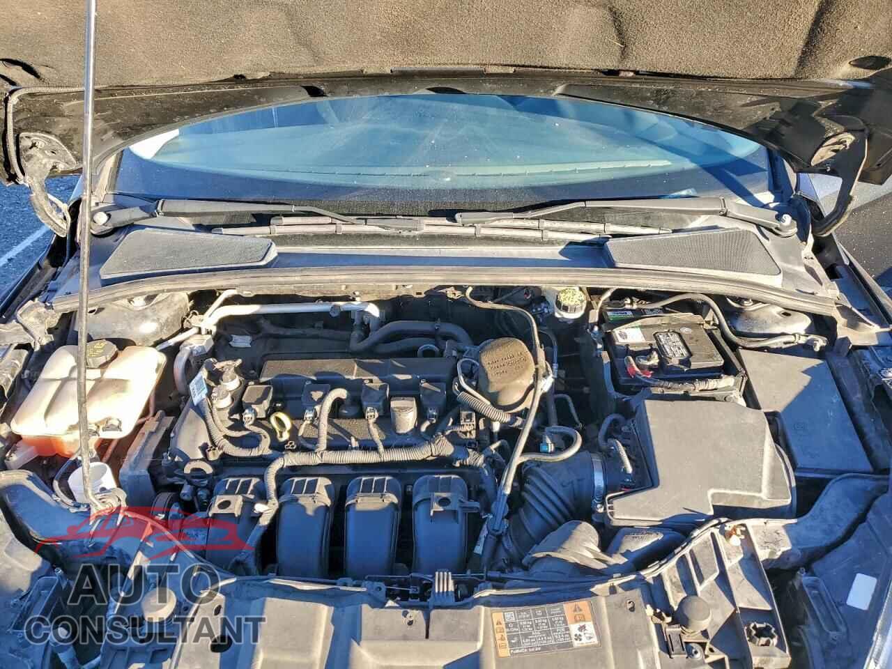 FORD FOCUS 2015 - 1FADP3E20FL314687