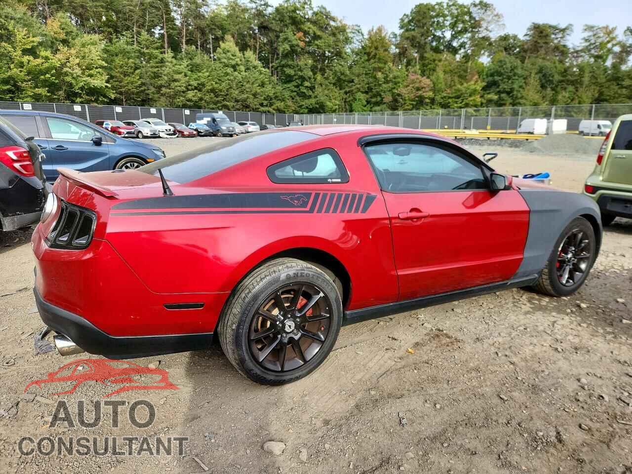FORD MUSTANG 2010 - 1ZVBP8AN1A5123224