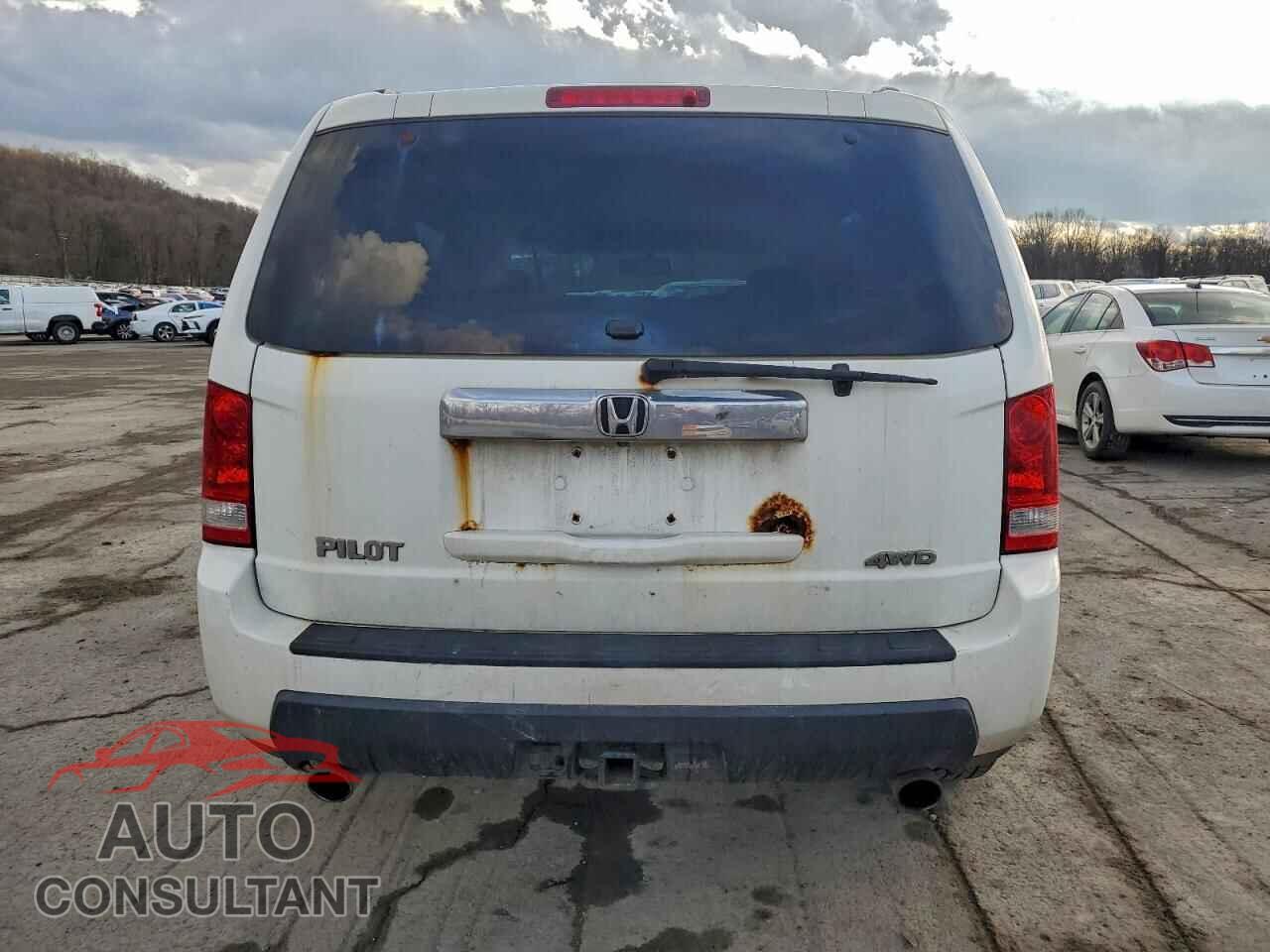 HONDA PILOT 2009 - 5FNYF48619B028504