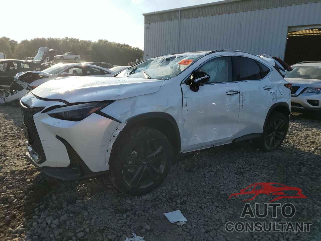 LEXUS NX 450H LU 2024 - JTJHKCFZ4R2025566