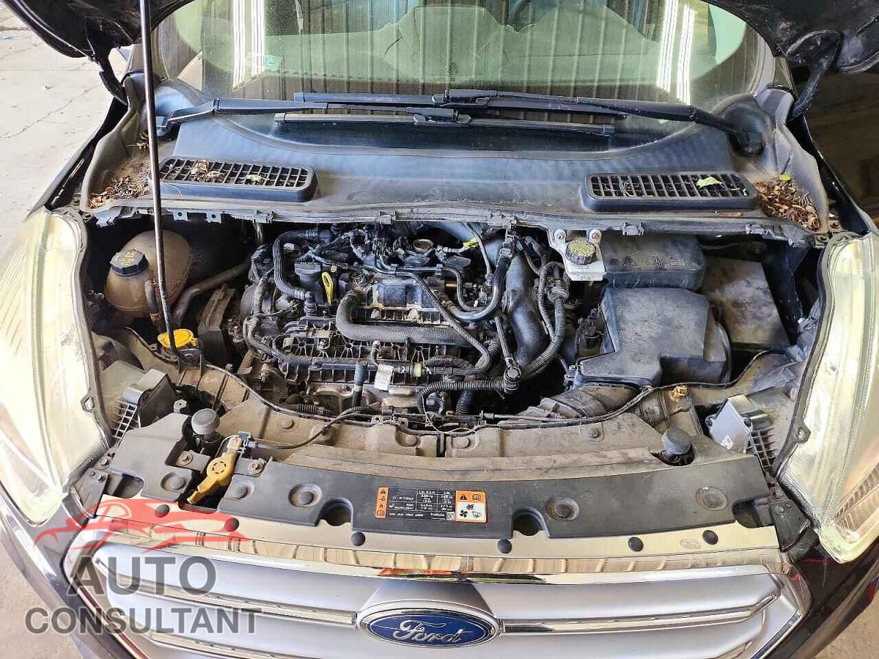 FORD ESCAPE 2017 - 1FMCU0GD7HUB77879