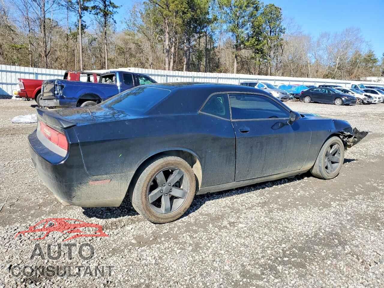 DODGE CHALLENGER 2013 - 2C3CDYAG5DH729015