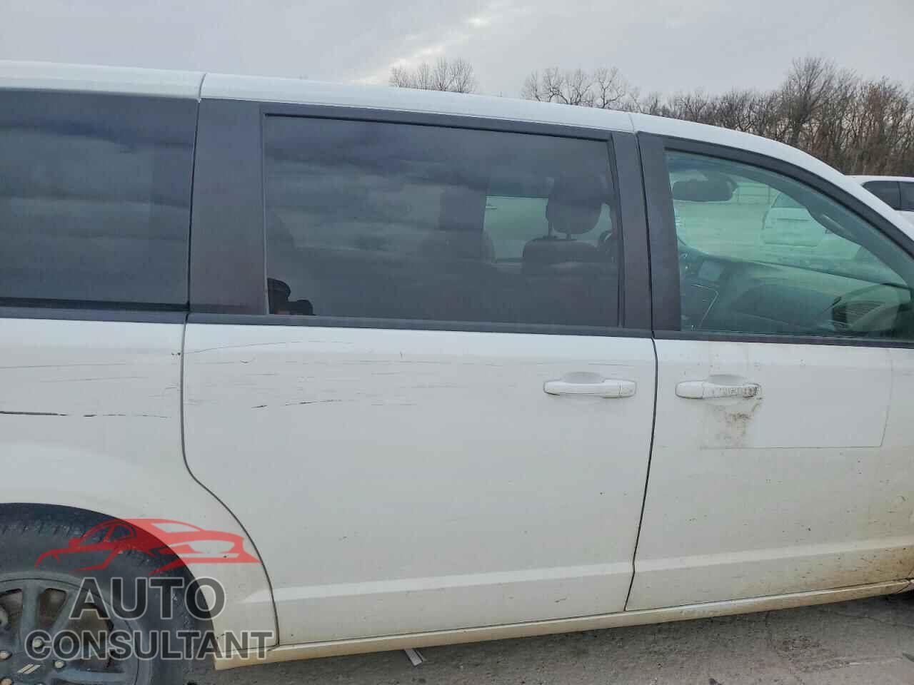 DODGE CARAVAN 2019 - 2C4RDGEG8KR682340