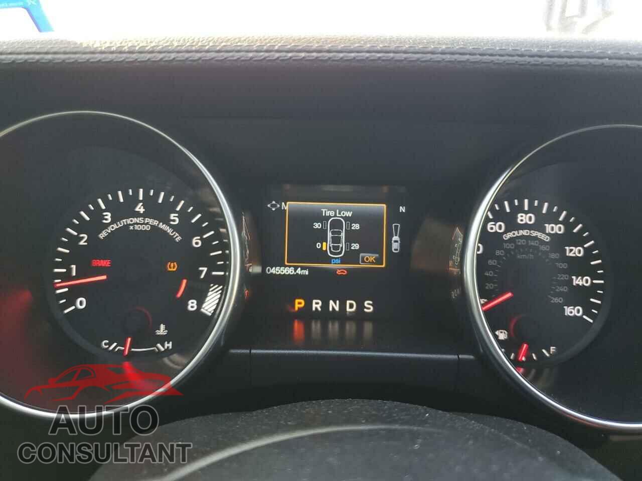 FORD MUSTANG 2019 - 1FA6P8CF3K5152645