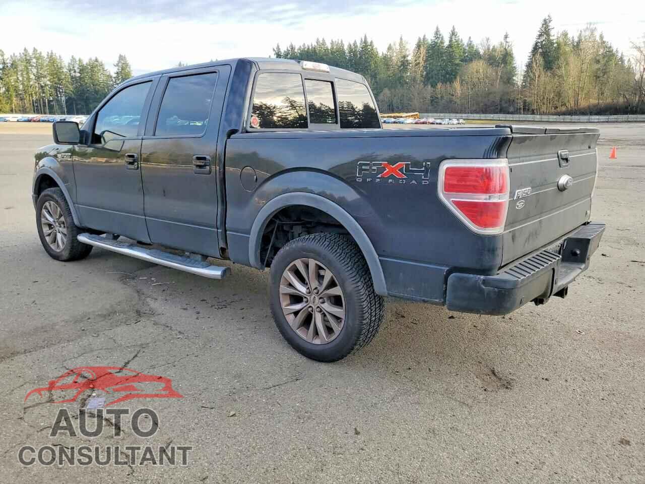FORD F-150 2010 - 1FTFW1EVXAFB64440