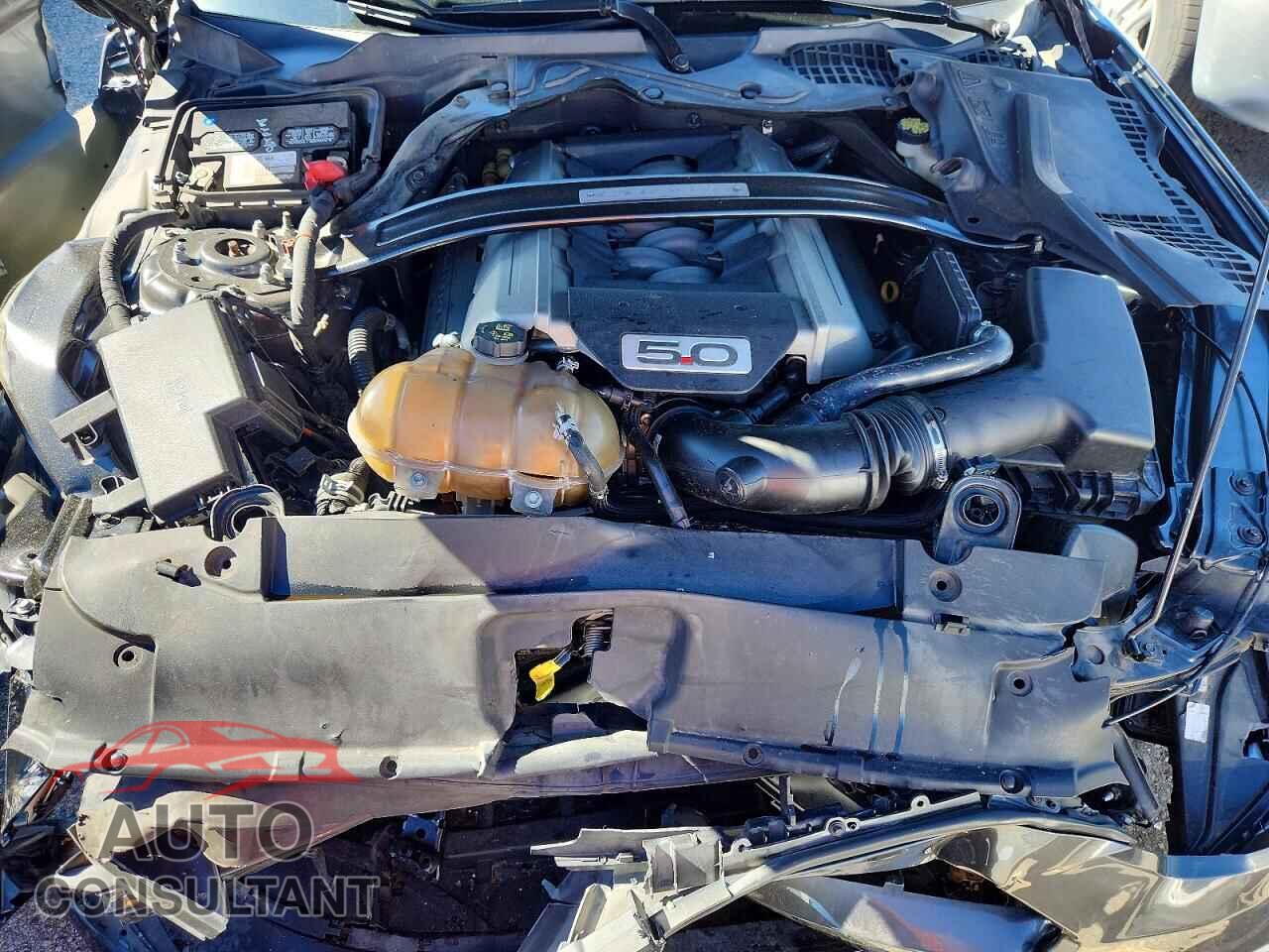 FORD MUSTANG 2016 - 1FA6P8CF9G5256953