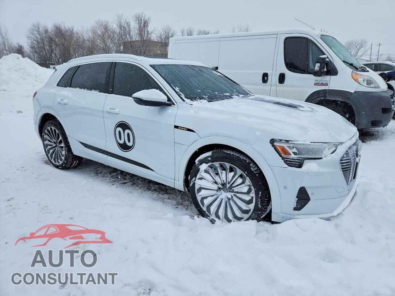 AUDI E-TRON 2019 - WA1VABGE4KB013254