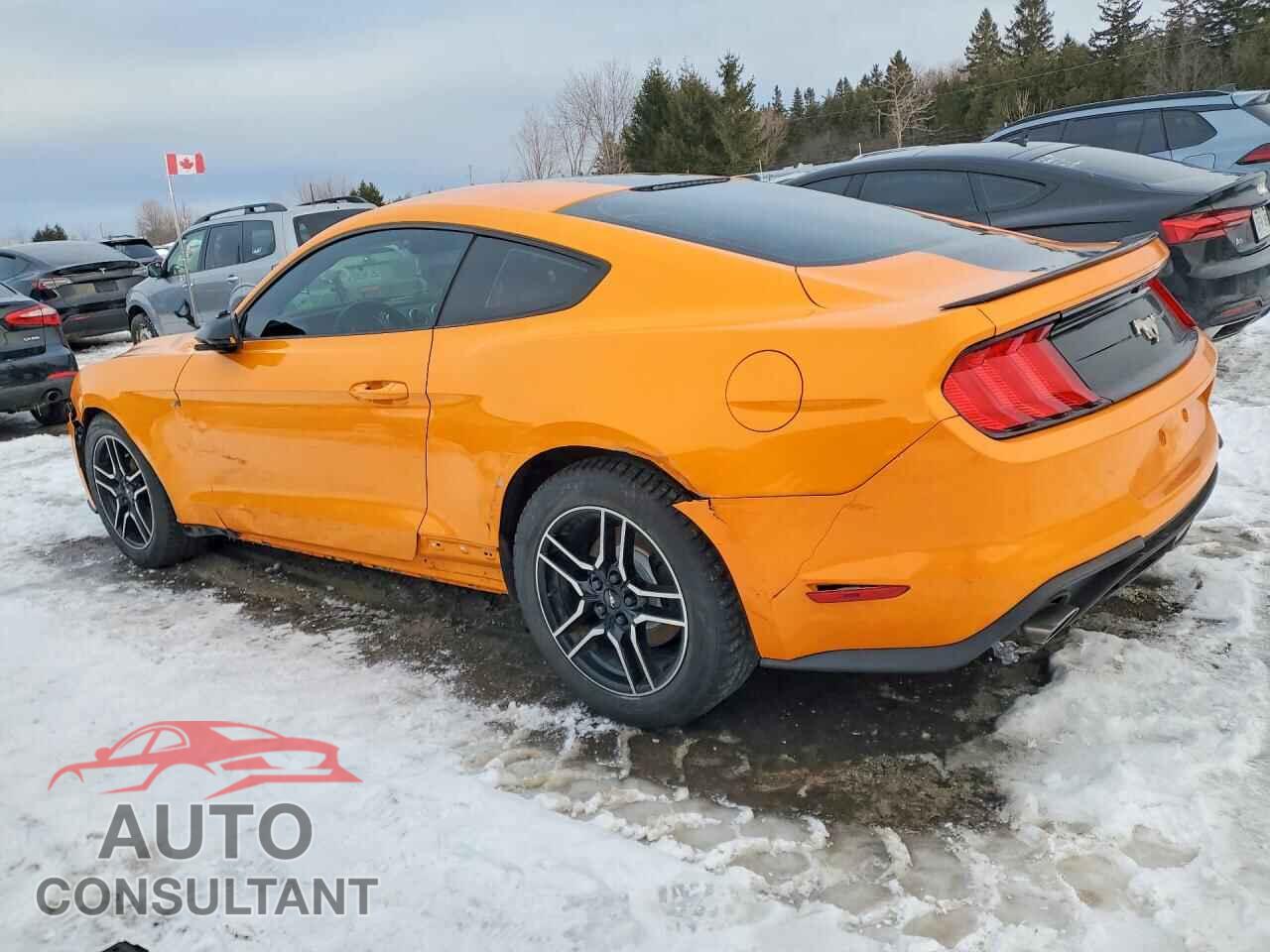 FORD ALL Models 2018 - 1FA6P8TH8J5168985