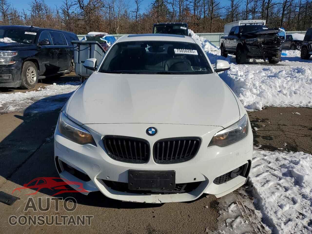 BMW 2 SERIES 2017 - WBA2H9C51HV641912