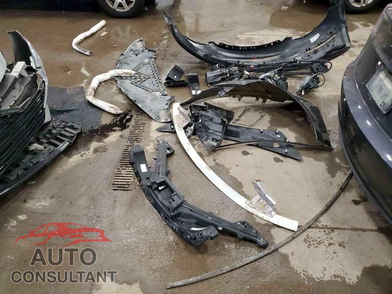 TESLA MODEL 3 2019 - 5YJ3E1EB8KF441975