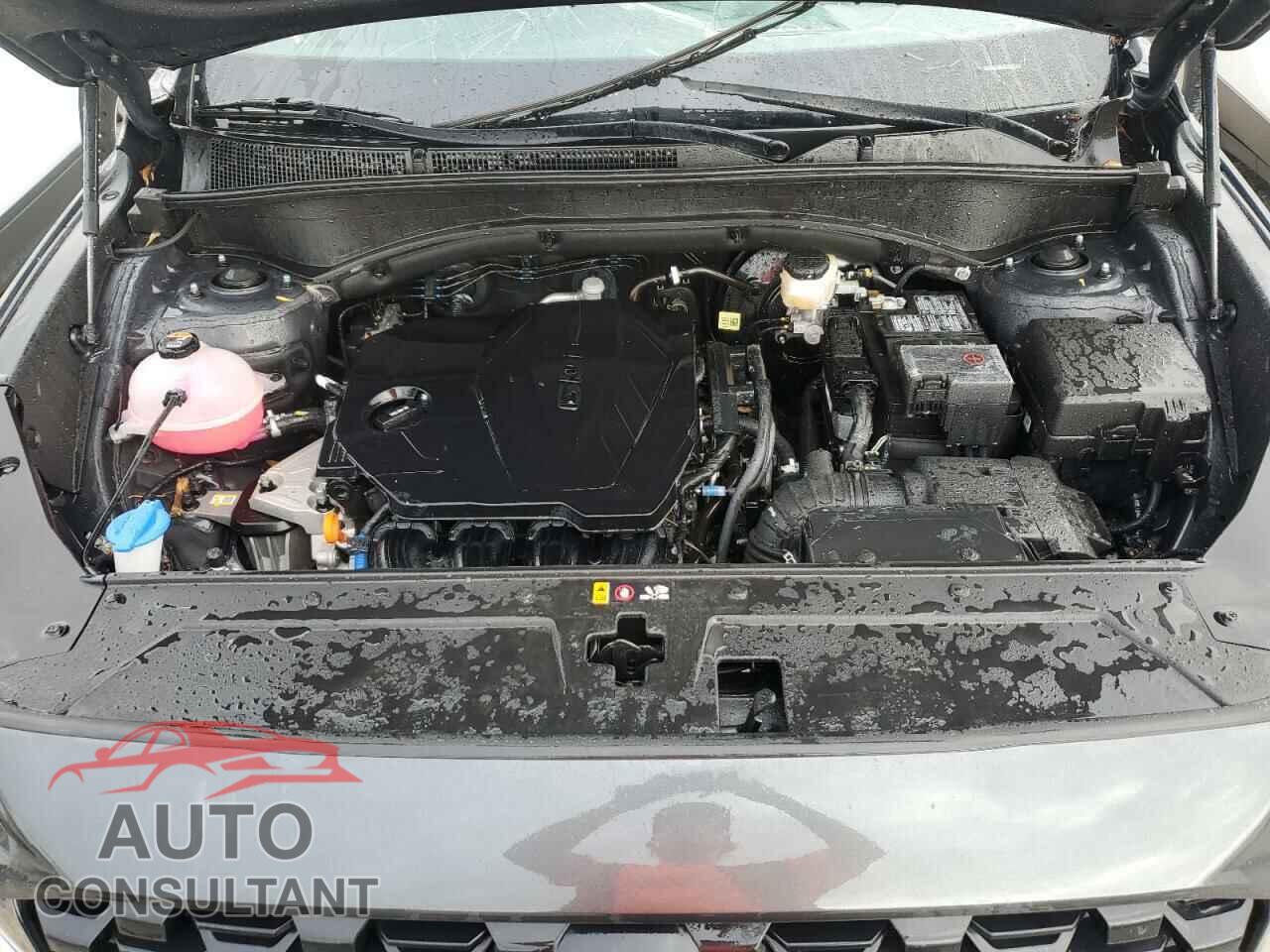 HYUNDAI SANTA FE 2023 - 5NMS14AJ8PH648362