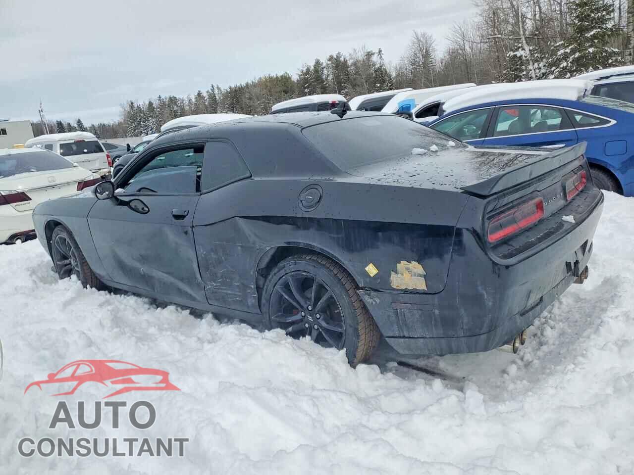 DODGE CHALLENGER 2018 - 2C3CDZAG9JH296834