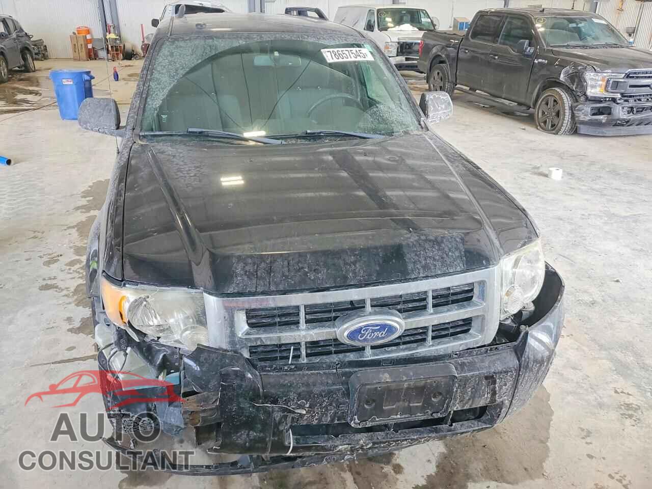 FORD ESCAPE 2011 - 1FMCU0DG7BKC04323