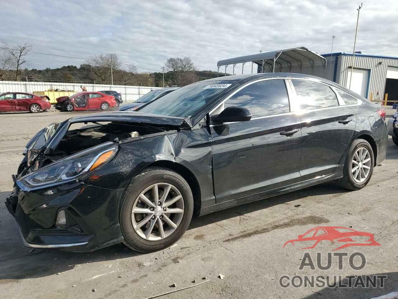 HYUNDAI SONATA 2019 - 5NPE24AF7KH757705