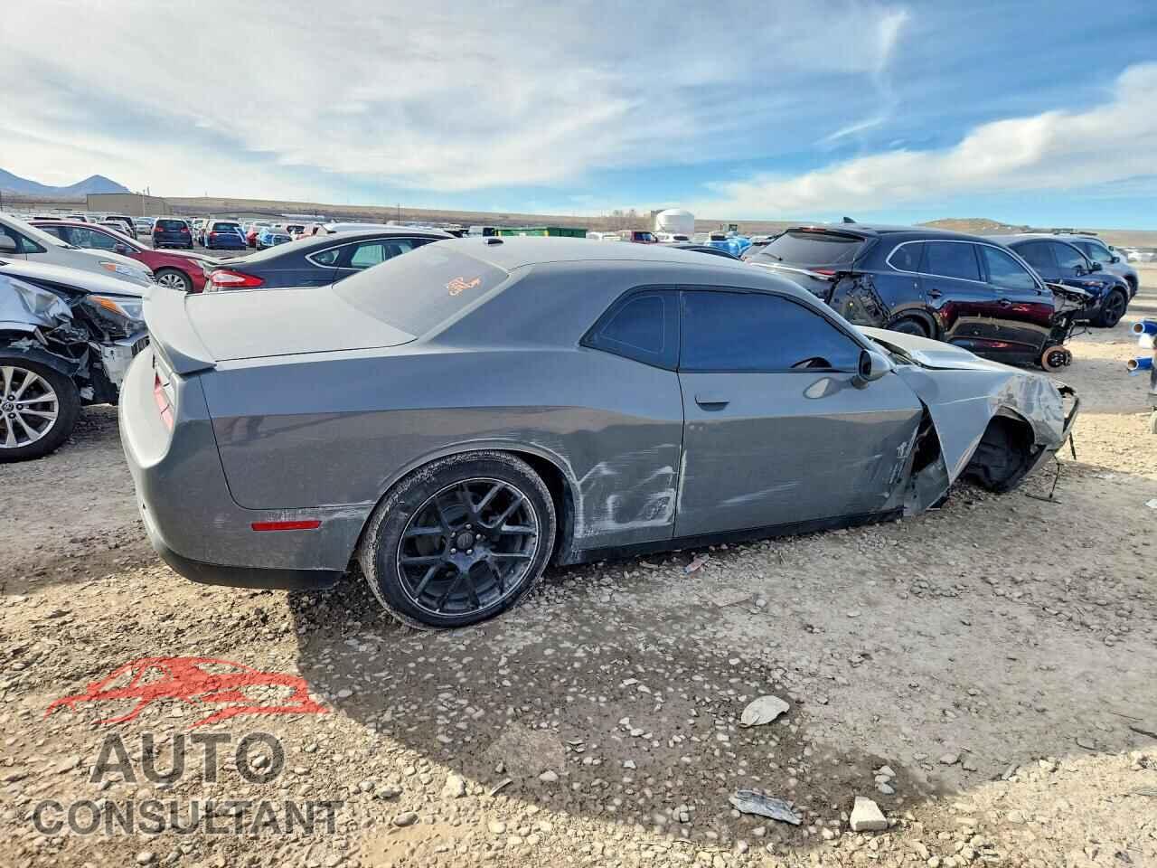 DODGE CHALLENGER 2019 - 2C3CDZAG9KH670151