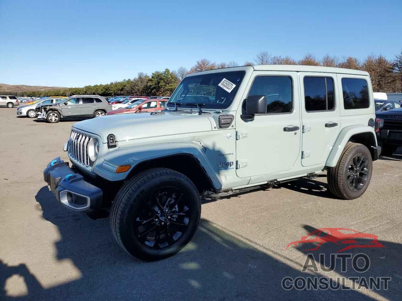 JEEP WRANGLER 2024 - 1C4RJXP66RW111881