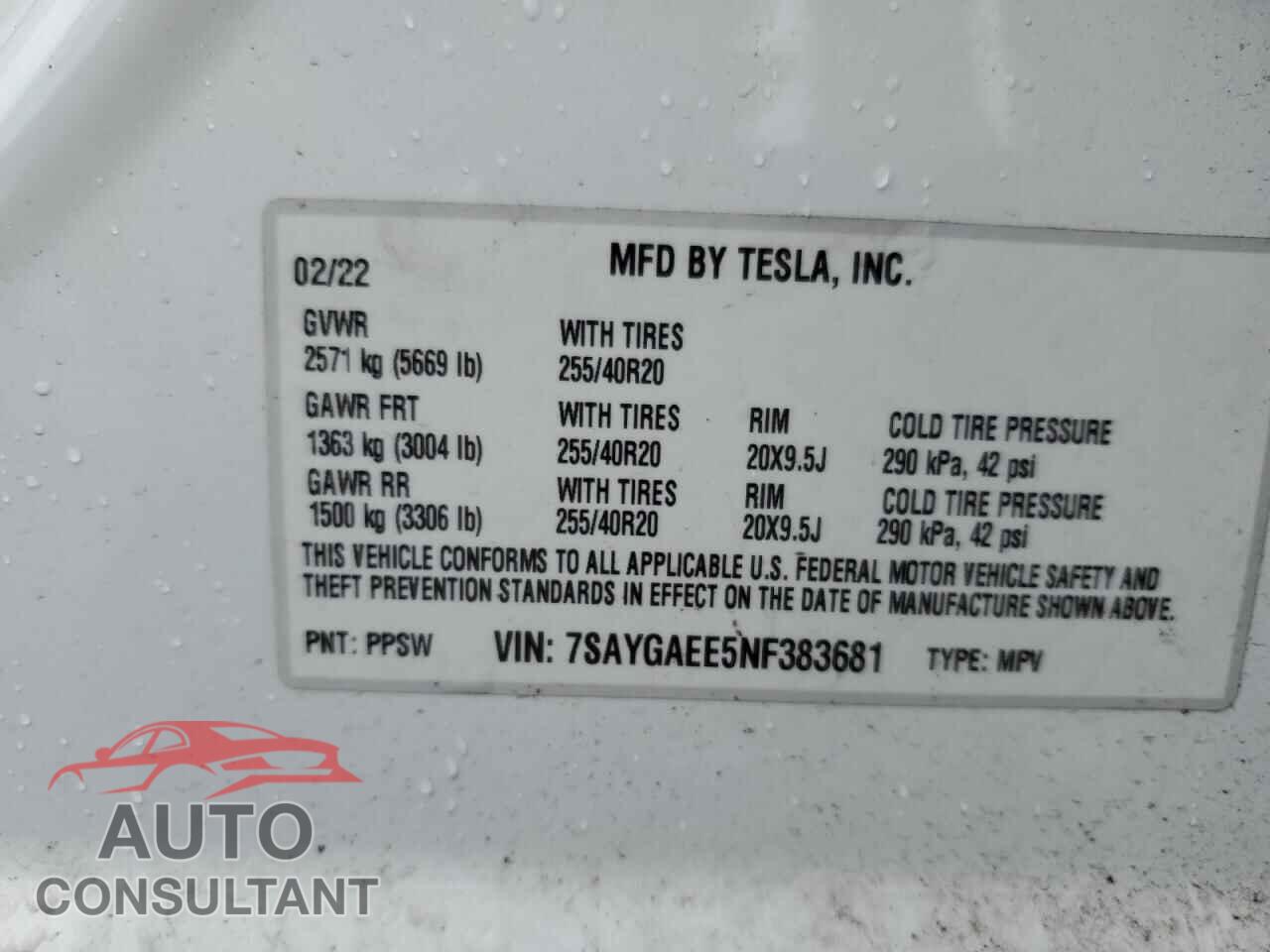 TESLA MODEL Y 2022 - 7SAYGAEE5NF383681