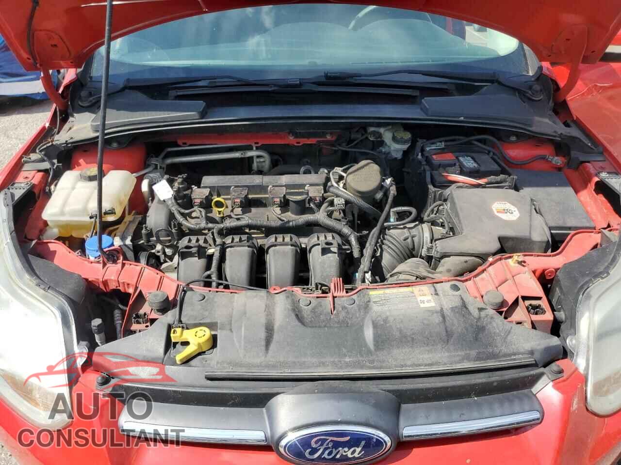 FORD FOCUS 2014 - 1FADP3K28EL128995