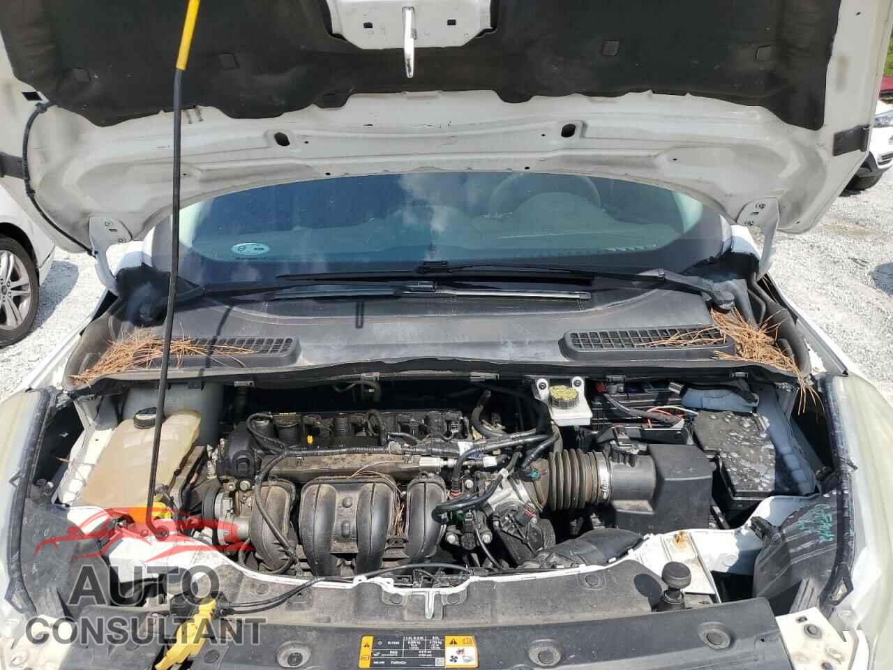 FORD ESCAPE 2013 - 1FMCU0F75DUC01490