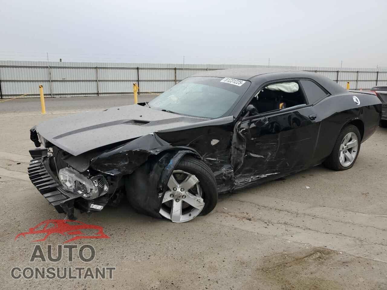 DODGE CHALLENGER 2013 - 2C3CDYBTXDH724341