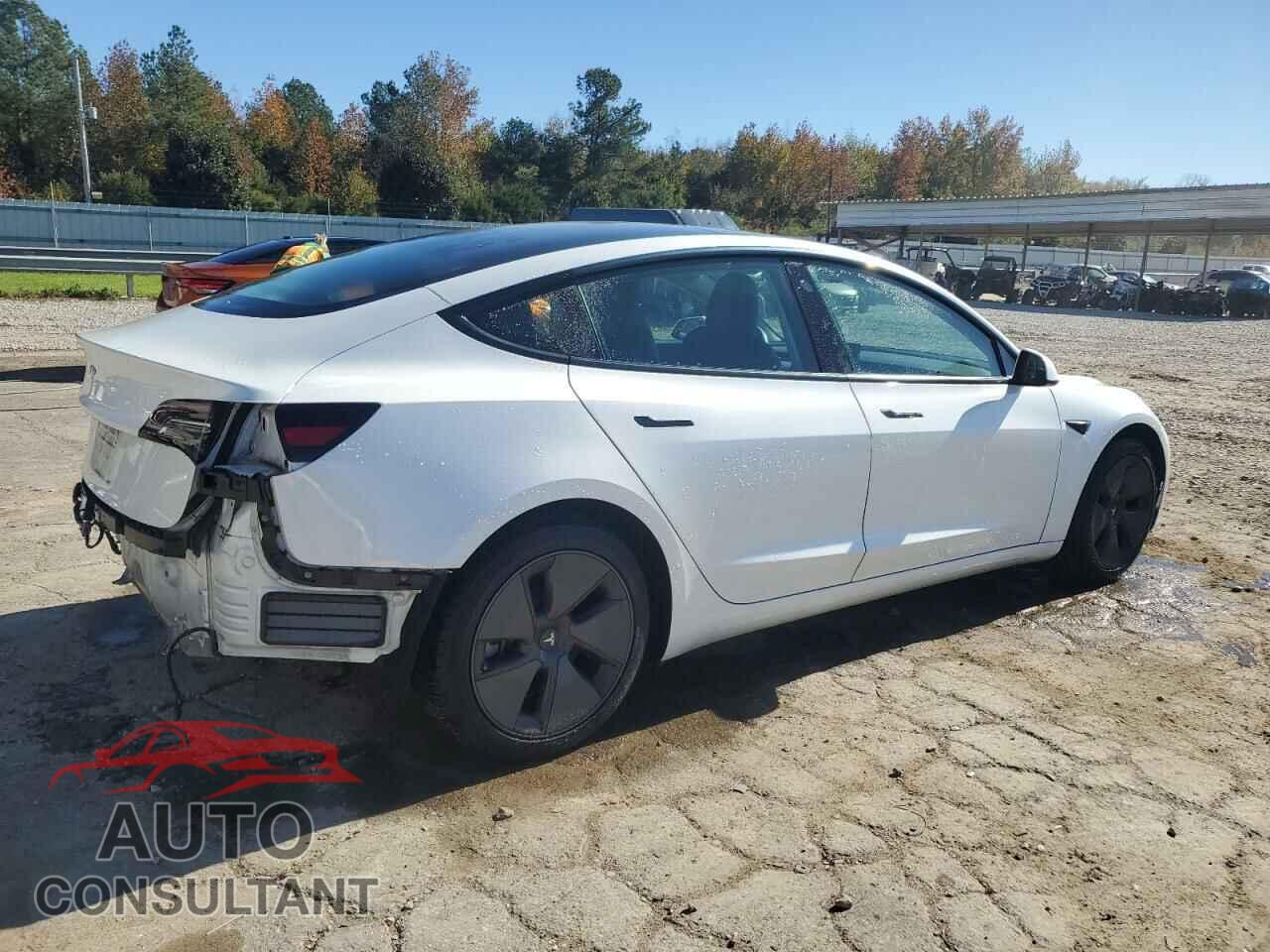 TESLA MODEL 3 2021 - 5YJ3E1EA1MF921222