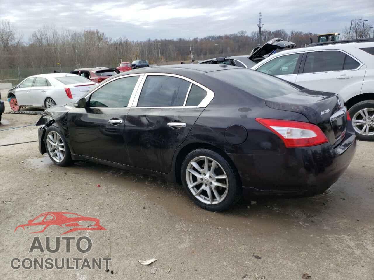 NISSAN MAXIMA 2010 - 1N4AA5AP1AC821060