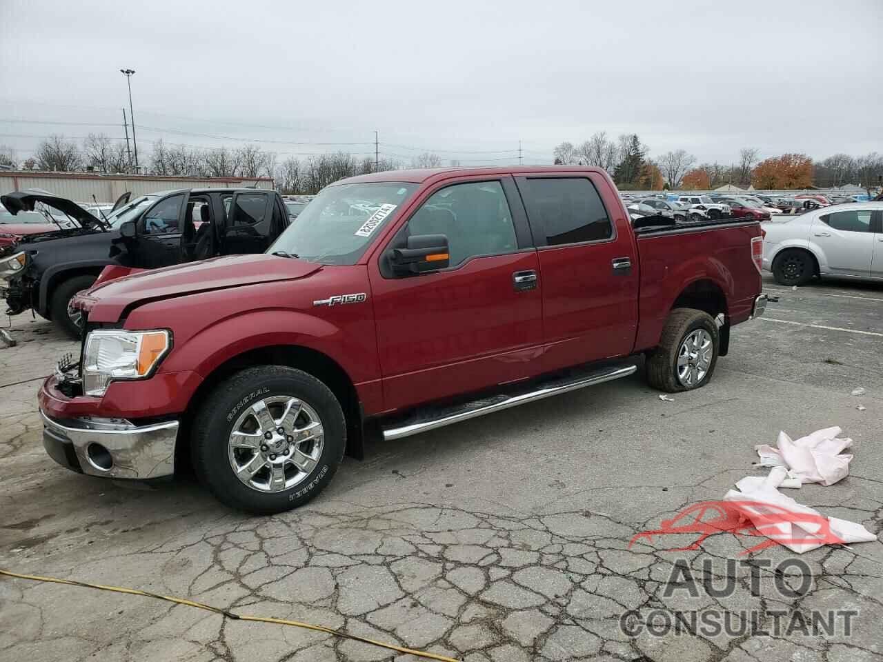 FORD F-150 2013 - 1FTFW1CF6DFD54347